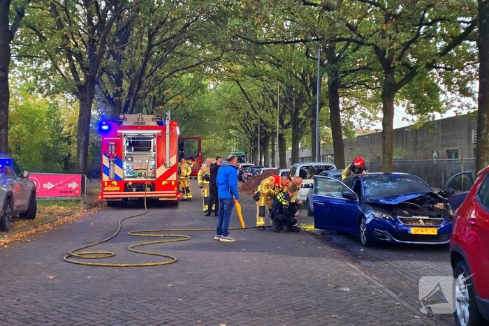 Geparkeerde auto vliegt in brand