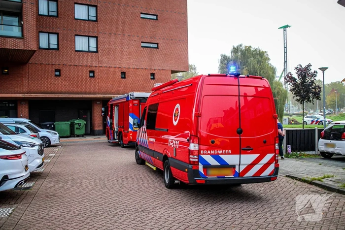 nieuws woutertje pietersepad hoogvliet rotterdam
