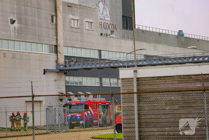 Grote brand bij cacao fabriek