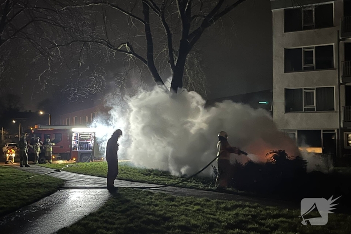 Brand in bult met kerstbomen