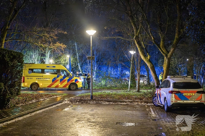 Twee doden bij schietpartij in park