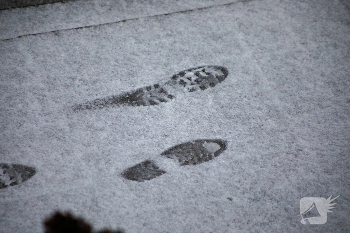 Sneeuwval levert fraaie plaatjes op