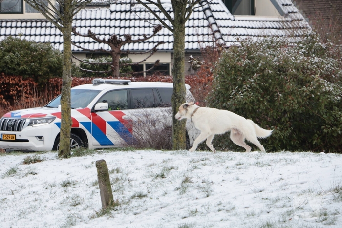 Ontsnapte hond Rylin na kat en muisspel van twee uur gevangen