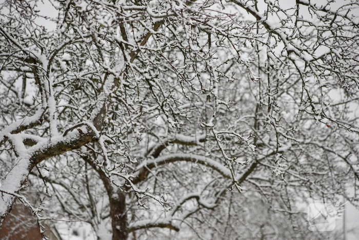 Sneeuwpret na kerstvakantie met code oranje