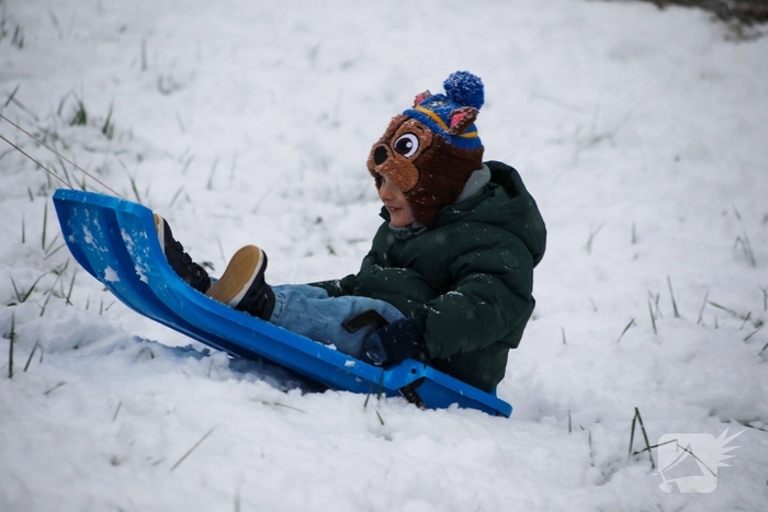 Sneeuwpret voor dier en mens