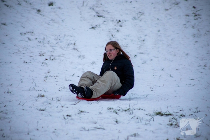 Sneeuwpret voor dier en mens
