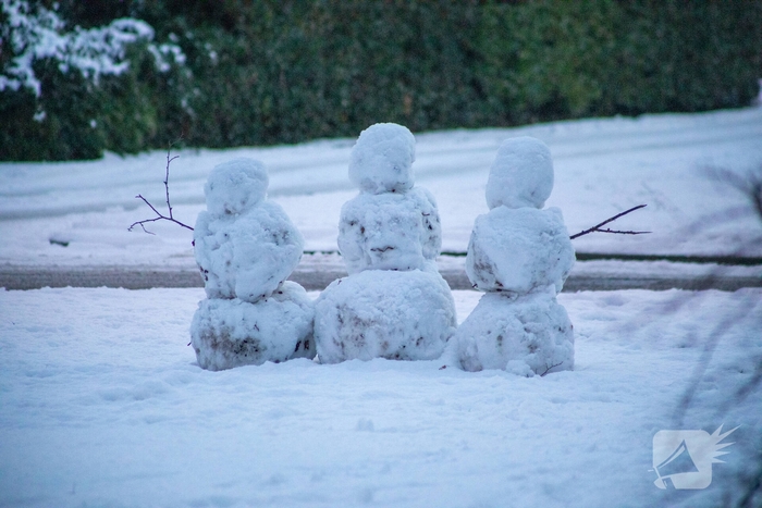 Sneeuwpret voor dier en mens
