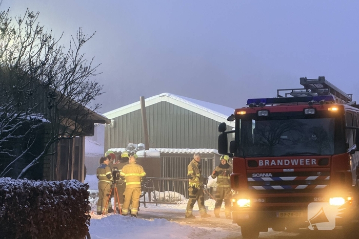 Instorting van stal zorgt voor vastzittende kalveren