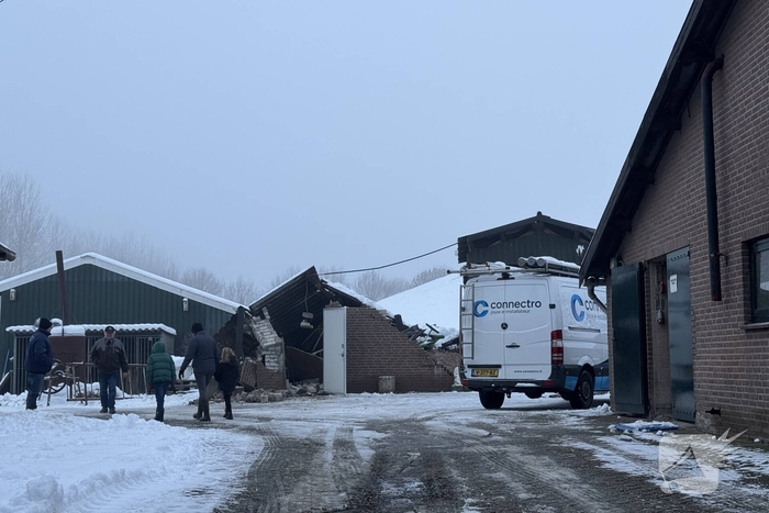Instorting van stal zorgt voor vastzittende kalveren