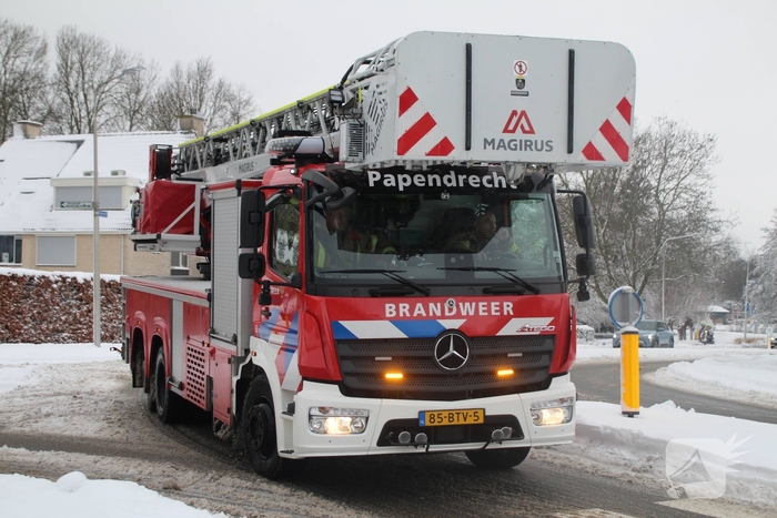 Brandweer redt kat uit ondergesneeuwde boom