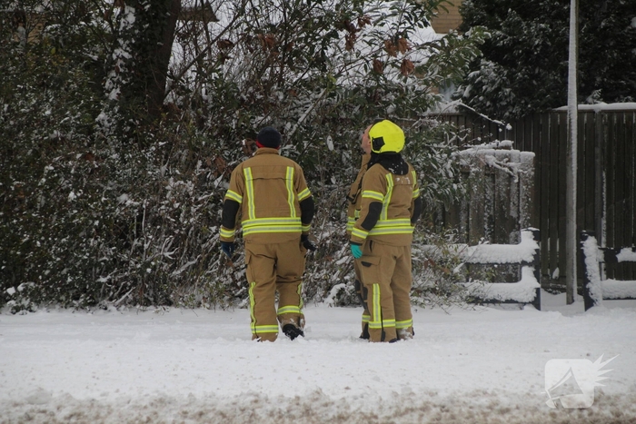 Brandweer redt kat uit ondergesneeuwde boom