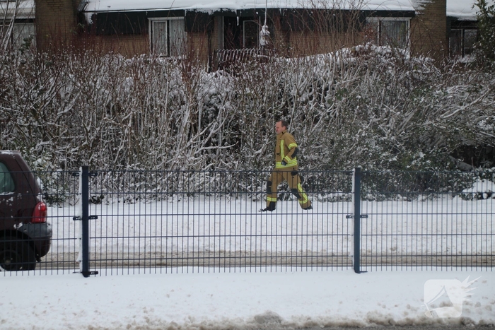 Brandweer redt kat uit ondergesneeuwde boom