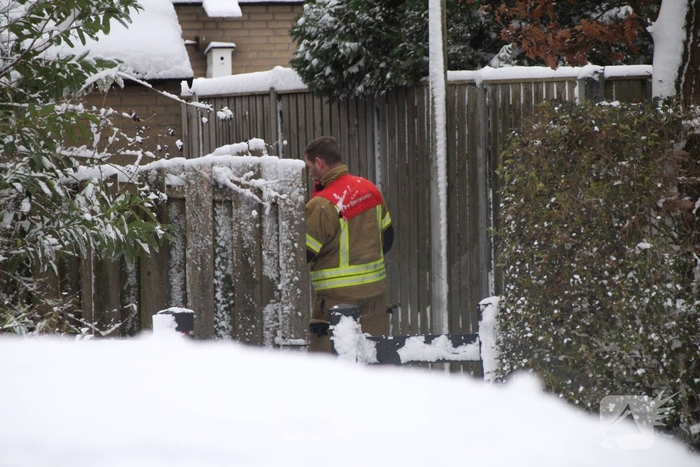 Brandweer redt kat uit ondergesneeuwde boom