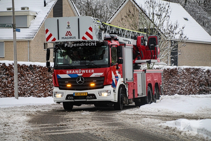 Brandweer redt kat uit ondergesneeuwde boom