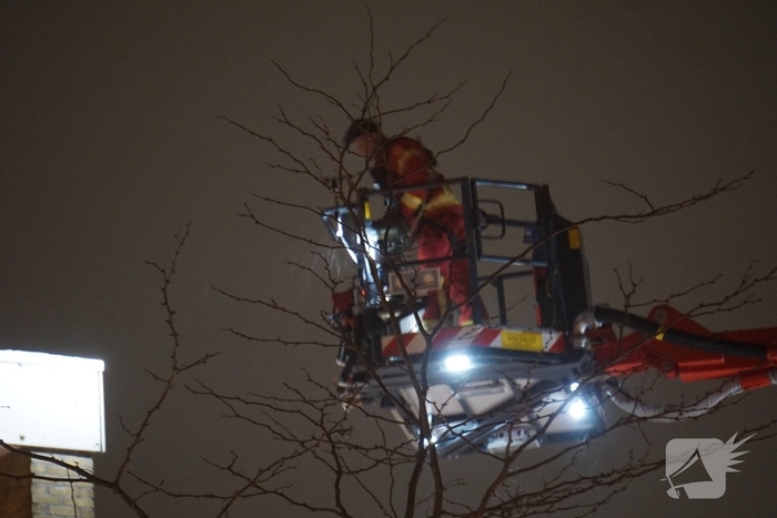 Isolatie waait los op dak