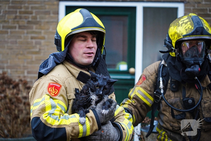 Bewoners niet thuis tijdens zolderbrand, twee katten gered