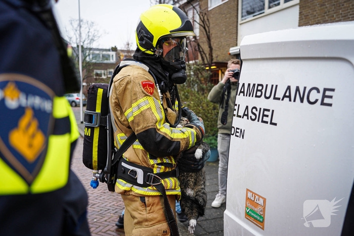 Bewoners niet thuis tijdens zolderbrand, twee katten gered