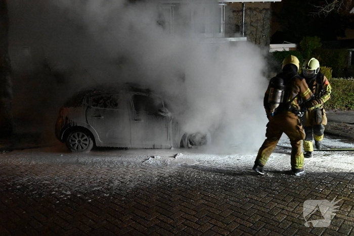 Auto in nachtelijke uren verwoest
