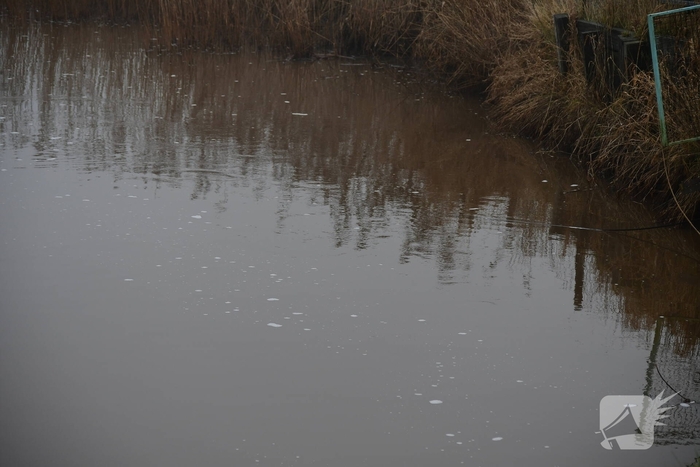 Auto met vier inzittenden belandt in het water