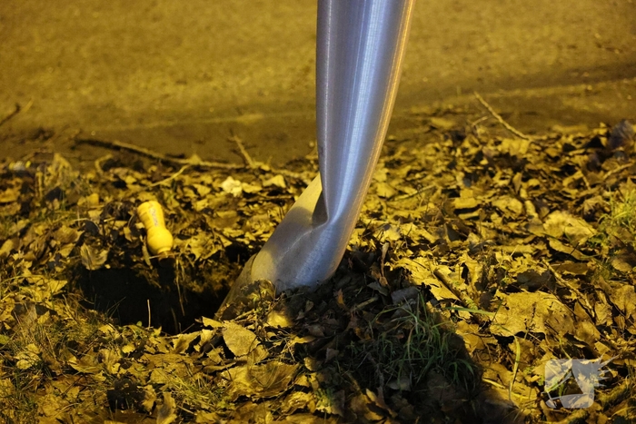 Bestuurder onwel na aanrijding met lantaarnpaal en boom