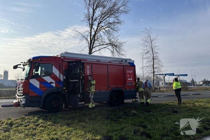 Brandweer redt duif uit boom