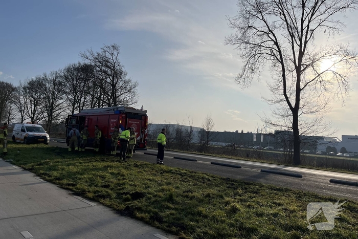 Brandweer redt duif uit boom