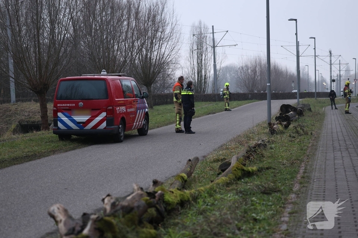 Tientallen vaten ontdekt in bosschages
