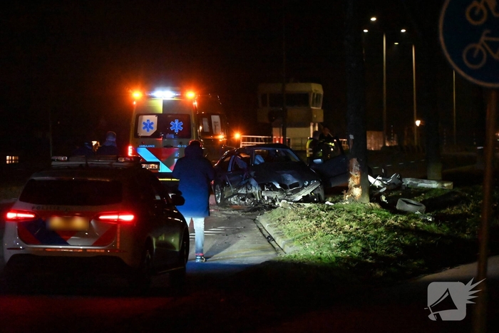 Automobilist botst tegen boom en lantaarnpaal, enorme ravage als gevolg