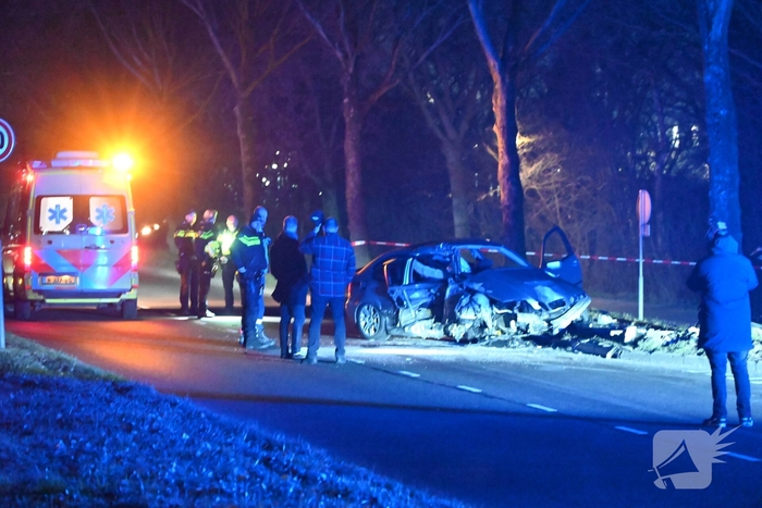 Automobilist botst tegen boom en lantaarnpaal, enorme ravage als gevolg