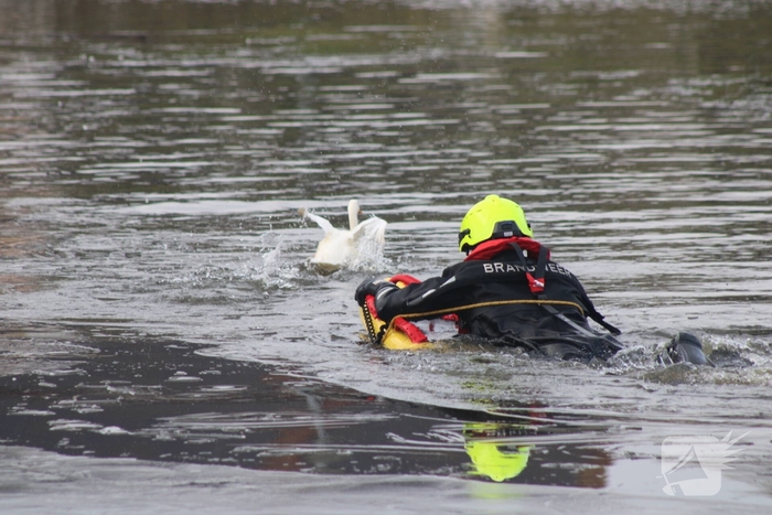 Brandweer probeert eend te redden uit het water