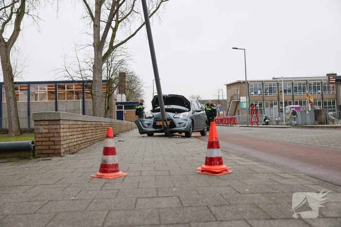 Bestuurder botst tegen lantaarnpaal na uitwijken voor zwaan
