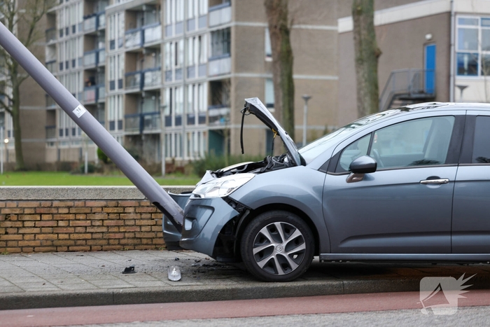 Bestuurder botst tegen lantaarnpaal na uitwijken voor zwaan