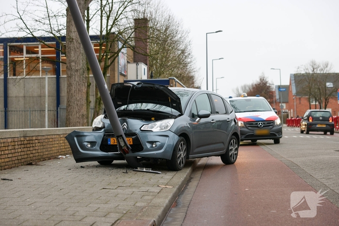 Bestuurder botst tegen lantaarnpaal na uitwijken voor zwaan