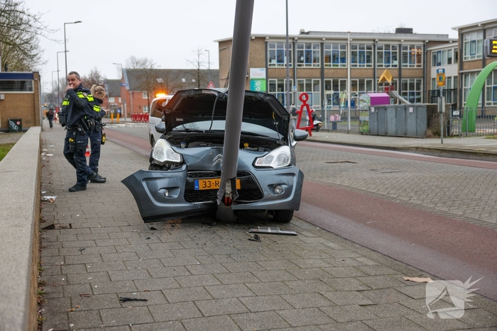 Bestuurder botst tegen lantaarnpaal na uitwijken voor zwaan