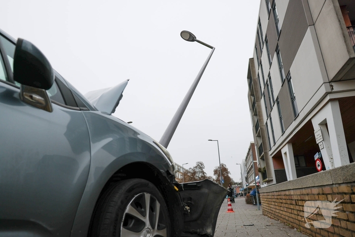 Bestuurder botst tegen lantaarnpaal na uitwijken voor zwaan