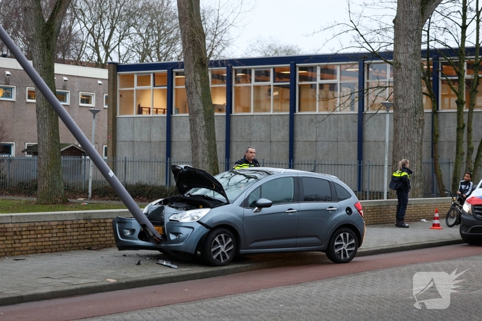 Bestuurder botst tegen lantaarnpaal na uitwijken voor zwaan