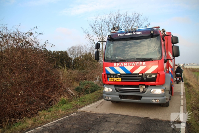 Tuinhuis gaat volledig in vlammen op