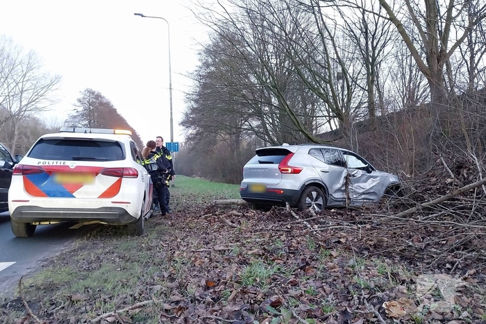 Automobilist botst tegen boom en raakt gewond
