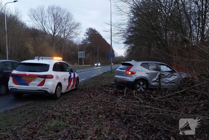 Automobilist botst tegen boom en raakt gewond