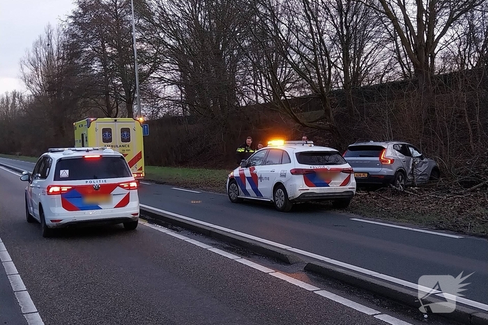 Automobilist botst tegen boom en raakt gewond