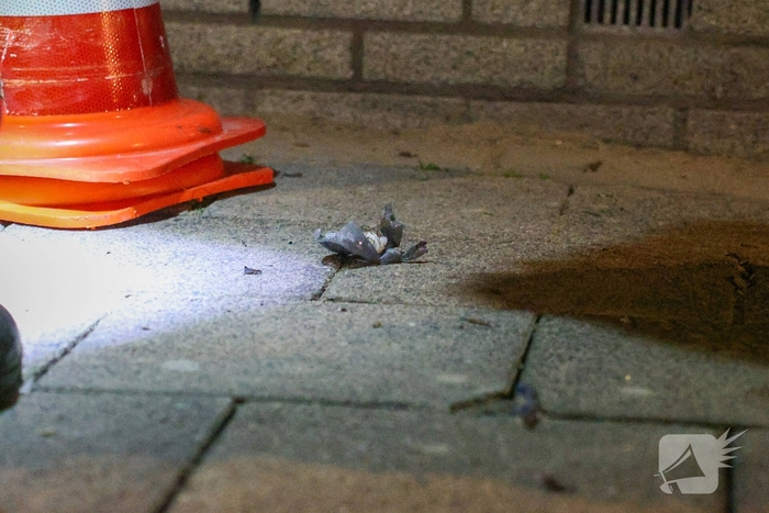 Explosie bij portiekwoning veroorzaakt aanzienlijke schade