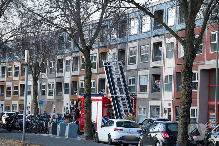 Zwaan gewond door mishandeling met stenen