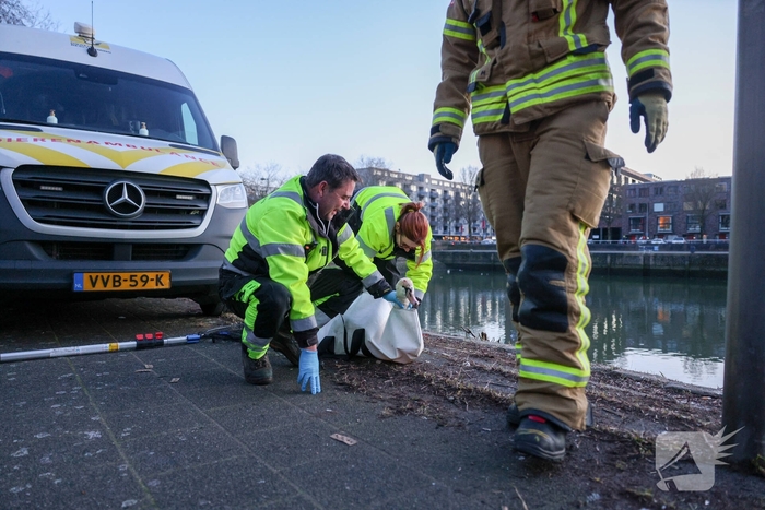 Zwaan gewond door mishandeling met stenen