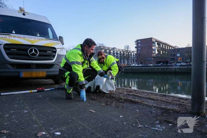 Zwaan gewond door mishandeling met stenen