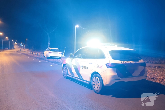 Auto botst tegen boom na uitwijkmaneuvre