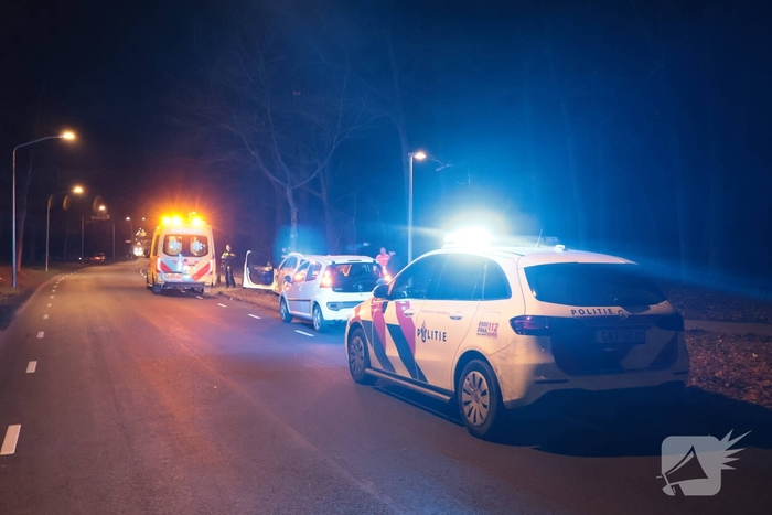 Auto botst tegen boom na uitwijkmaneuvre