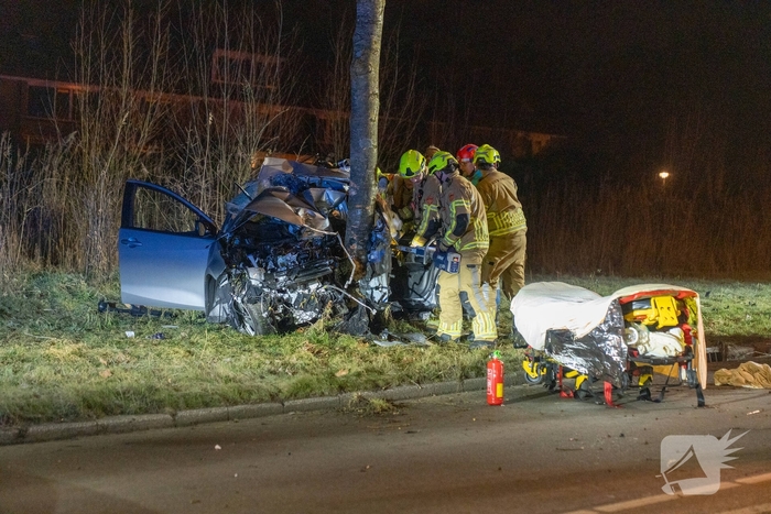 Auto botst tegen boom, drie personen gewond