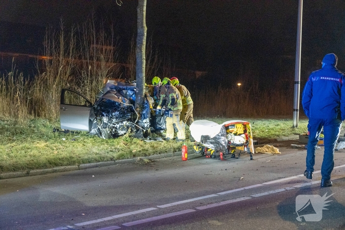 Auto botst tegen boom, drie personen gewond