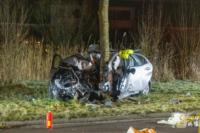 Auto botst tegen boom, drie personen gewond