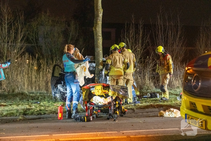 Auto botst tegen boom, drie personen gewond